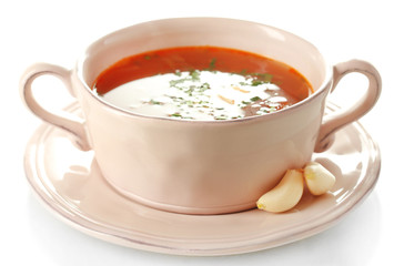Ukrainian beetroot soup - borscht, isolated on white