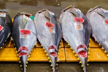 Foto auf Leinwand Thunfischauktion auf dem Osaka Central Wholesale Market © coward_lion