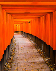 Fushimi Inari Taisha Shrine in Kyoto,