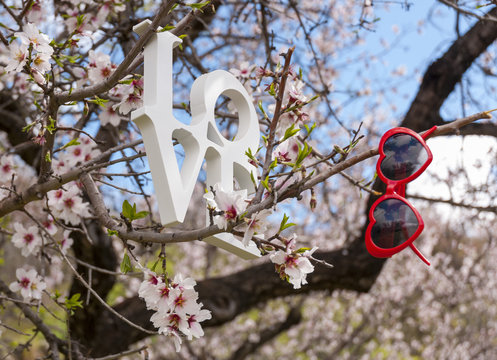 Love and heart shaped sunglasses in almonds trees