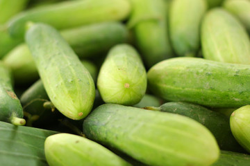 Fresh cucumber in the market