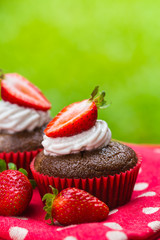 Paleo coconut chocolate cupcakes with strawberries