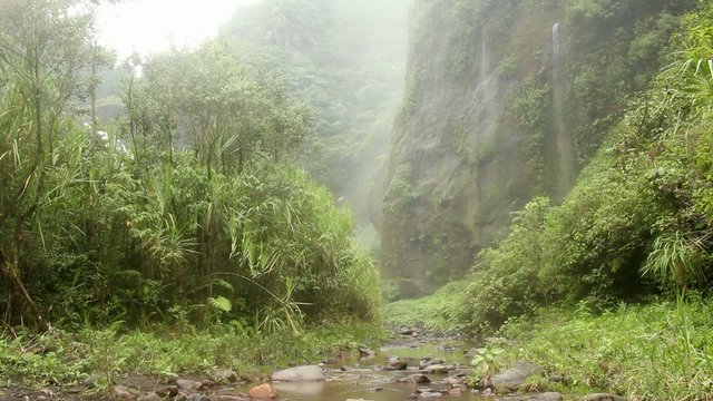 Very humid hillsides beside the Rio Malo, Ecuador
