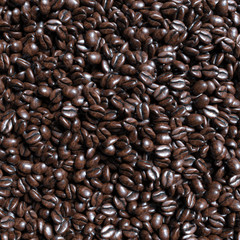 Food and drink background of roasted coffee beans arabica