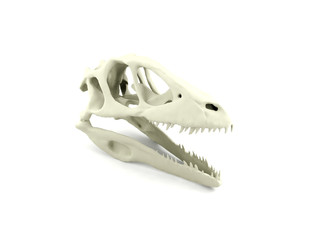Fototapeta premium Dinosaur skull