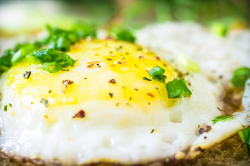 Sandwich with fried egg