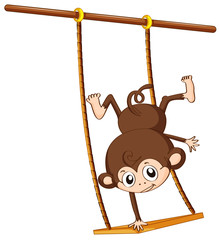 Monkey and swing