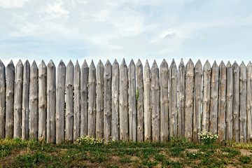Fototapeta premium Fence log with flowers