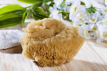 spa sponge