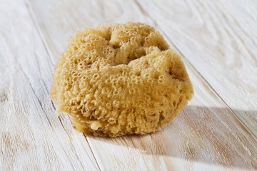 close up shot of scrubber