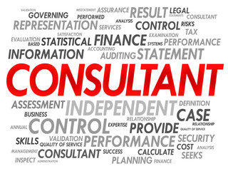 CONSULTANT word cloud, business concept