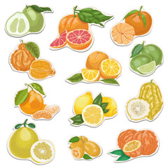 Citrus collection on tags