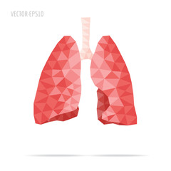 Lungs faceted