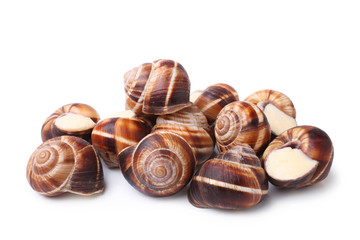 Edible snails (escargot)
