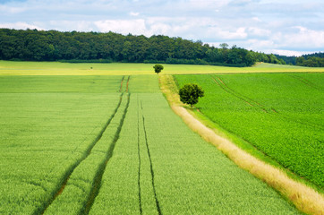 Rural lansdscape. Germany