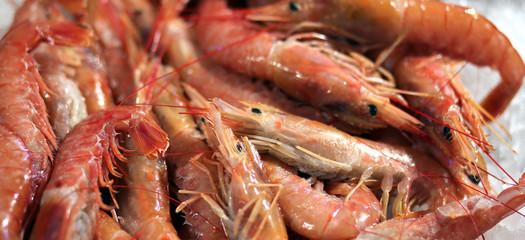 crustaceans for sale in the market
