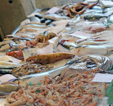 fresh fish on sale in fish market outdoor market