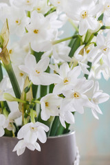 Bouquet of white narcissus.