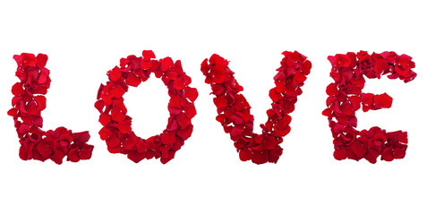 letters of love flower petals