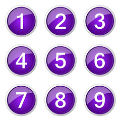 Numbers Counting Violet Vector Button Icon Design Set