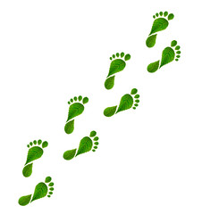leaves footprints on white