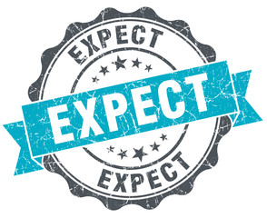 expect vintage turquoise seal isolated on white