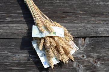 ripe wheat ears and euro money banknote concept