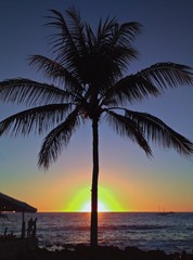 Beach Sunset with Palm Tree on Kailua Kona, Big Island of Hawaii