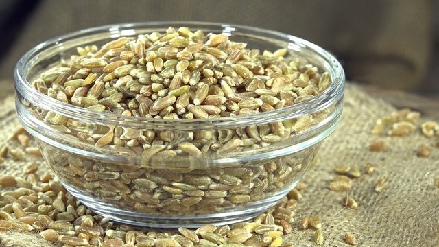 Seamless Loopable Green Spelt