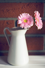 Gerber Daisy in vase