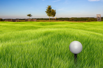Golf Ball on a tee