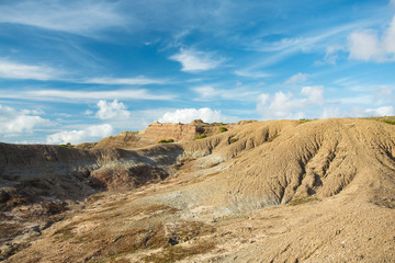 Desert landscape