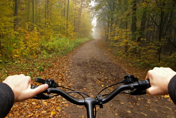 Fototapeta na wymiar bike ride in autumn forest