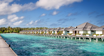 vacation in the Maldives