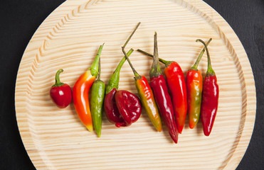 colorful chili pepper on dark