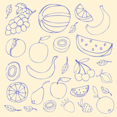 Set Sketches of fruit, isolated, vector illustration.