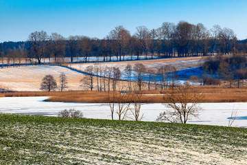 Zimowa Warmia © Wojciech Lisiński
