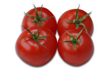 Tomatoes