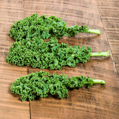 Group of curly kale leaves