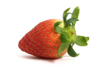 Strawberry with isolated white background