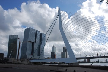 Erasmus bridge Rotterdam