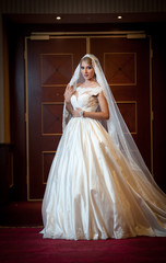Young beautiful luxurious woman in wedding dress posing 