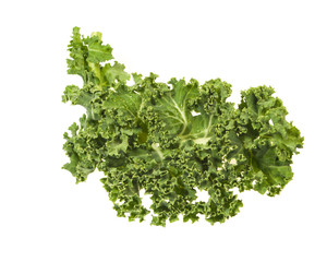 Fototapeta premium Green kale leaves isolated on white