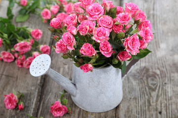 Bouquet of roses in a watering can