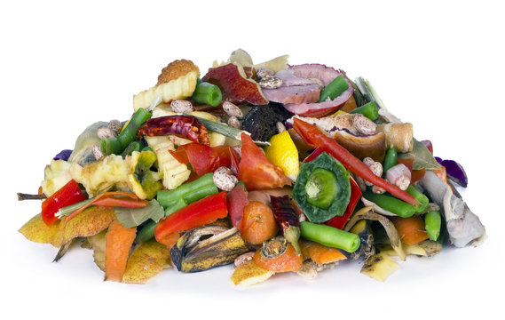 Edible decaying organic