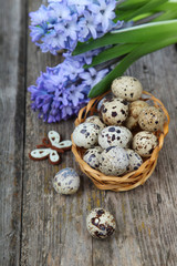 Obraz na płótnie Canvas Easter composition with quail eggs and hyacinth
