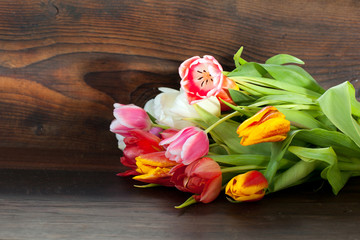 bunte tulpen