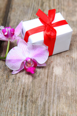 Holidays gift and orchid