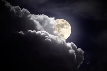Papier Peint photo Lavable Nuit Nuit couverte de pleine lune