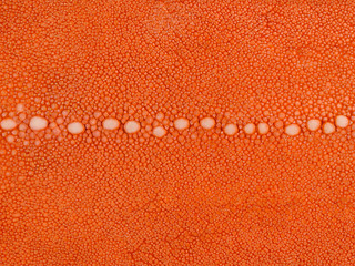 Ray skin with texture